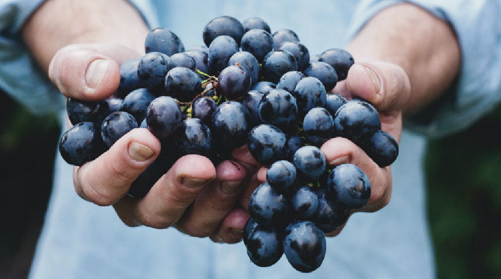 estabilidad-tartarica