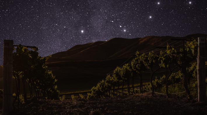 fermentación espontánea controlada