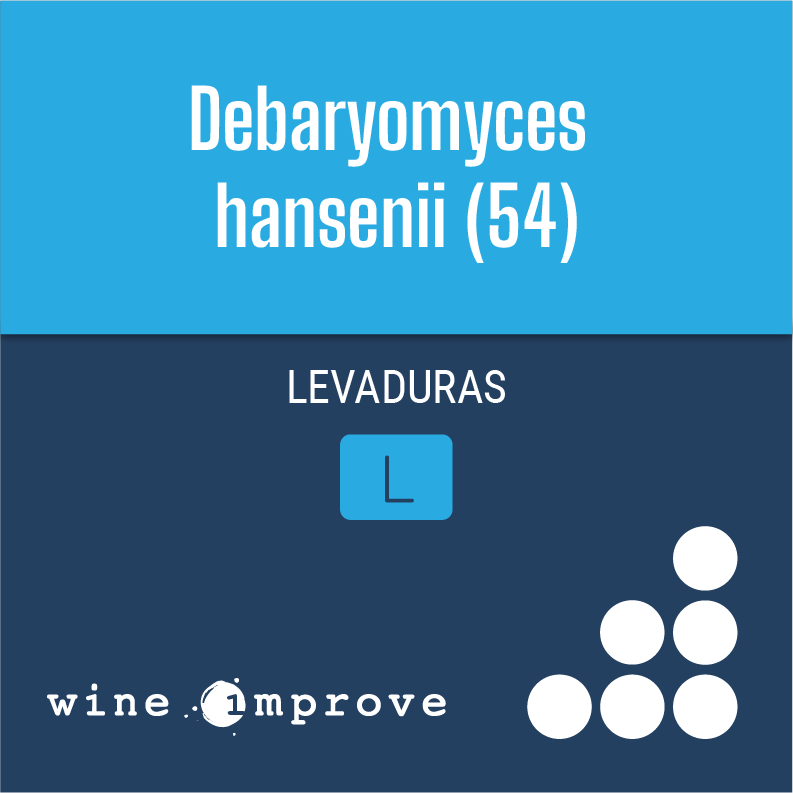 levadura-no-saccharomyces-debaryomyces